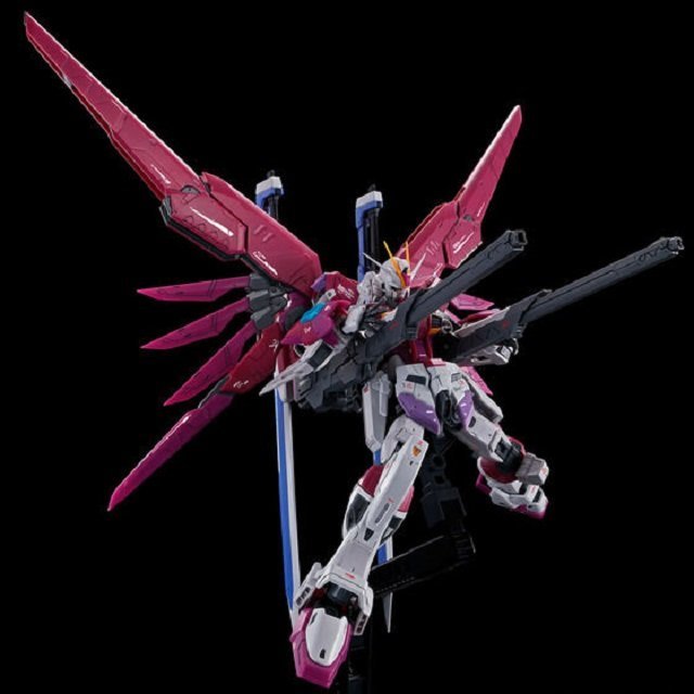 Premium Bandai RG 1/144 Destiny Impulse Gundam [4573102634047]