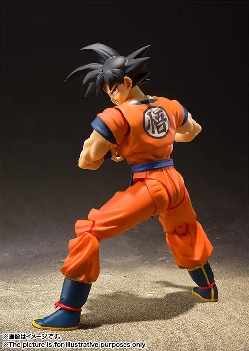 Bandai S.H.Figuarts  Son Goku The Saiyan Raised on Earth [4573102555403]