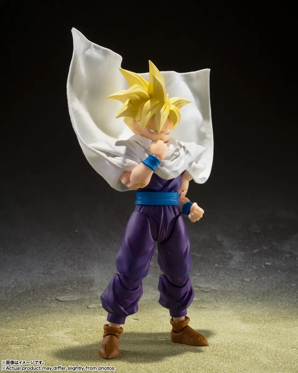 Bandai S.H.Figuarts  Son Gohan The Warrior Who Surpassed Goku [4573102655547]