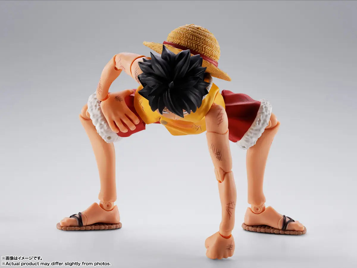 Bandai S.H.Figuarts  Monkey.D.Luffy -MarineFord- [4573102692979]