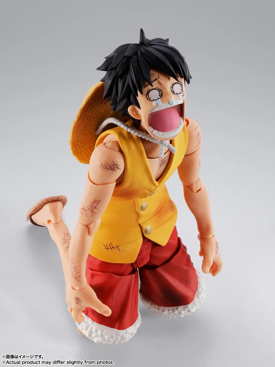 Bandai S.H.Figuarts  Monkey.D.Luffy -MarineFord- [4573102692979]