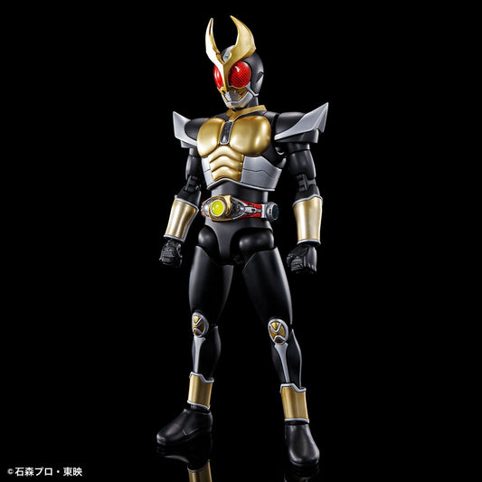 Bandai Figure-rise Standard  Kamen Rider Agito [4573102617996]