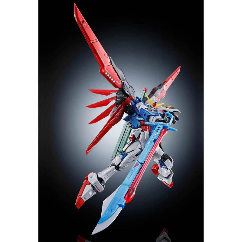 プレミアムバンダイ RG 1/144 デスティニーグナム[チタニウムフィニッシュ] [4573102602374]